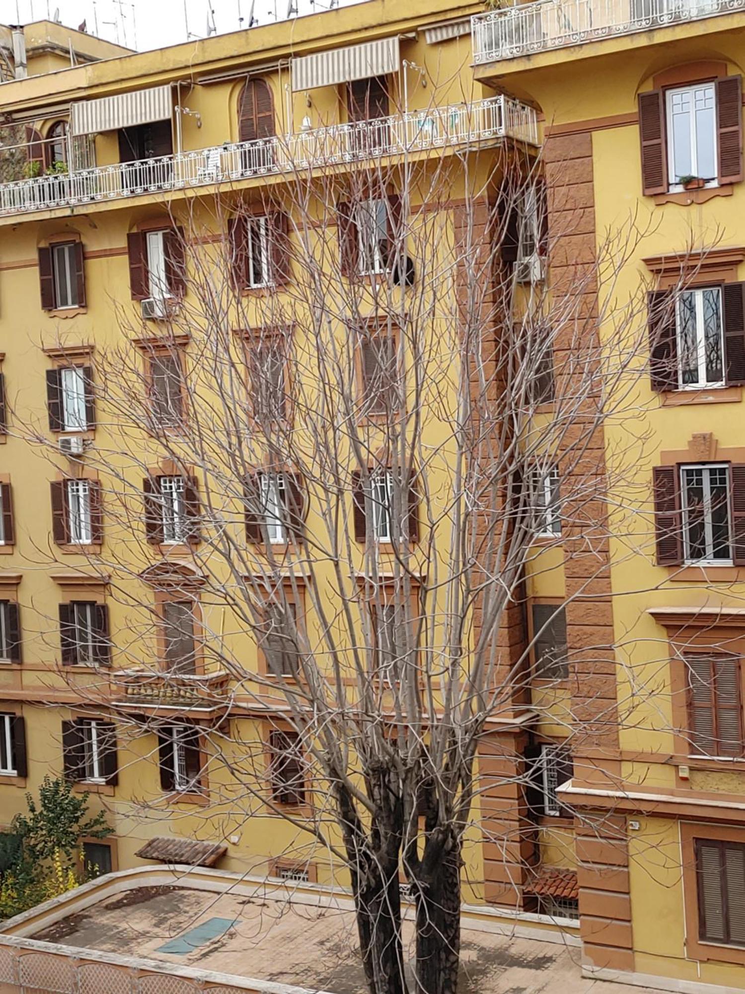 Studio Flat Trastevere Róma Kültér fotó